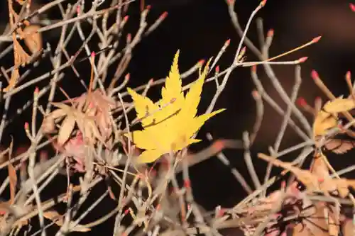 滑川神社 - 仕事と子どもの守り神の自然