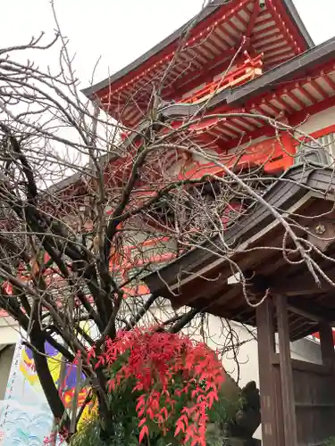門戸厄神東光寺(兵庫県)