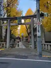 銀杏岡八幡神社の鳥居