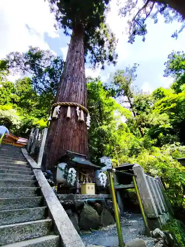 由岐神社(京都府)