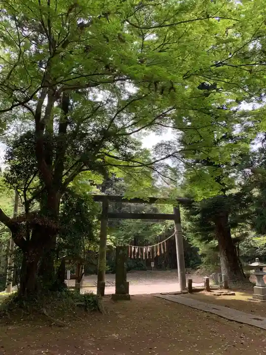 八幡神社(千葉県)