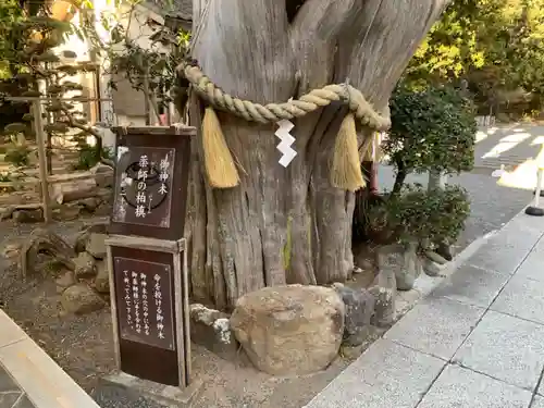 伊古奈比咩命神社の自然