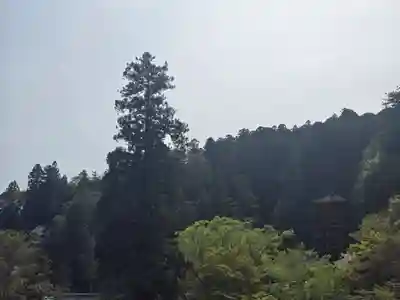 長谷寺(奈良県)