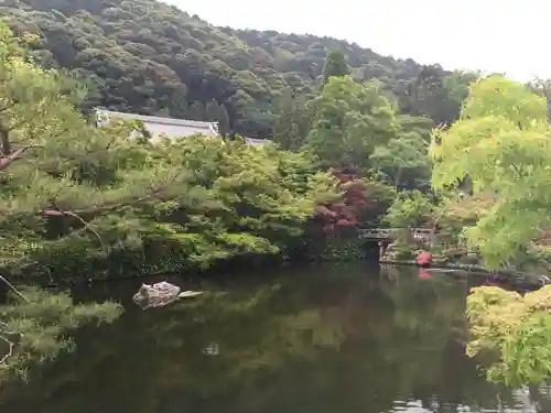 禅林寺（永観堂）の景色