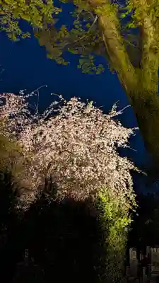 高台寺（高台寿聖禅寺・高臺寺）(京都府)
