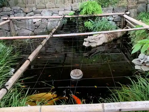 大圓寺(東京都)