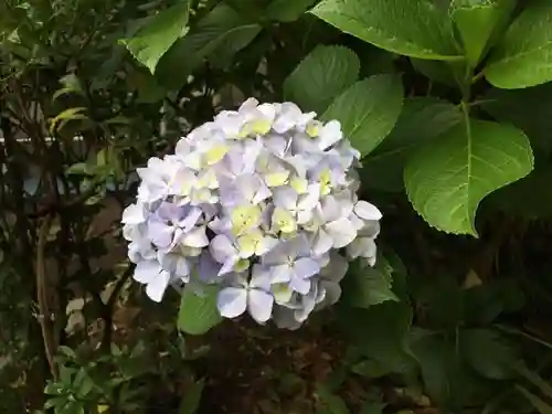 福王山  慈眼寺の自然