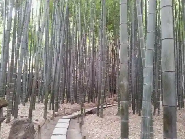 報国寺のその他建物