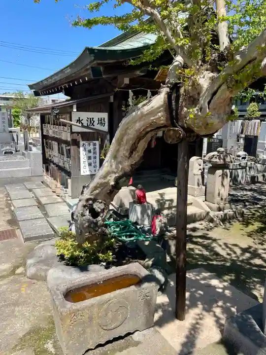 善立寺の{uncategorized: "未分類", other: "その他", undefined: "問題あり", building: "その他建物", grave: "お墓", sacred_gate: "鳥居", guardian: "狛犬", statue: "像", buddha: "仏像", history: "歴史", nature: "自然", garden: "庭園", animal: "動物", pagoda: "塔", temizu: "手水舎", mountain_gate: "山門・神門", sanctuary: "本殿・本堂", subordinate: "末社・摂社", art: "芸術", scenery: "景色", jizo: "地蔵", ema: "絵馬", goshuin: "御朱印", omikuji: "おみくじ", items: "授与品その他", amulet: "お守り", goshuincho: "御朱印帳", eats: "食事", festival: "お祭り", votive_dance: "神楽", shichigosan: "七五三参", wedding: "結婚式", experience: "体験その他", initially: "初詣", around: "周辺", anti_infection: "感染症対策"}