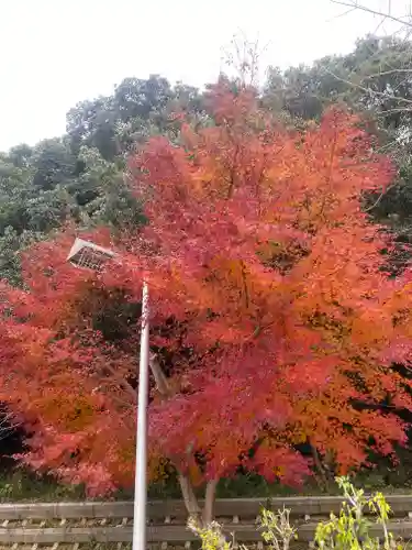 船岡神社(大阪府)