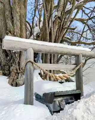 黄金龍神社（桂不動）(北海道)
