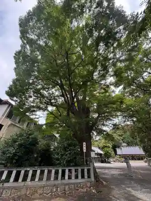 濱名惣社神明宮(静岡県)