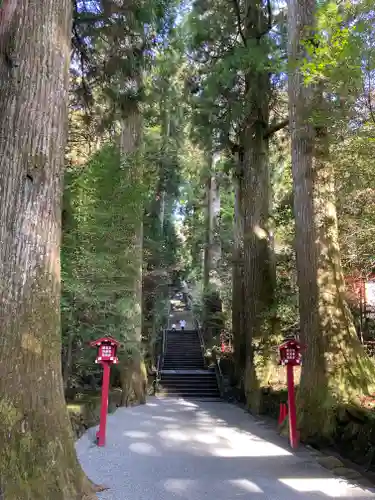 箱根神社(神奈川県)
