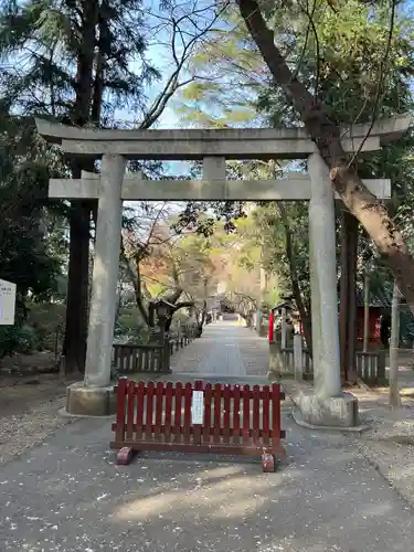 岩槻久伊豆神社の鳥居