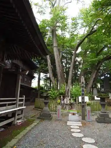 小室浅間神社の建物その他