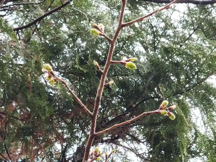 神明社(西堀江神明社)(愛知県)