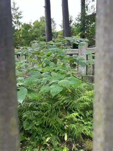 諏訪大社上社前宮(長野県)