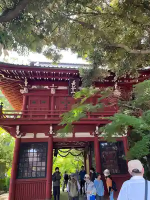 本土寺(千葉県)