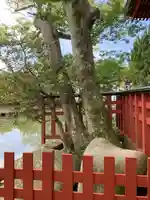 旗上弁財天社の自然