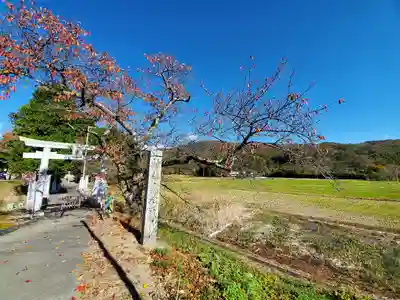 高司神社〜むすびの神の鎮まる社〜の鳥居
