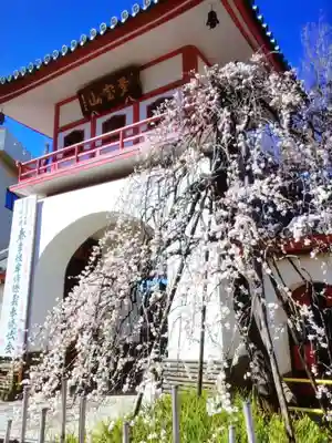成願寺(東京都)
