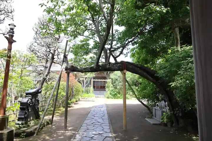 教恩寺(神奈川県)