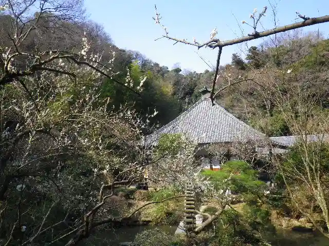 光則寺の庭園