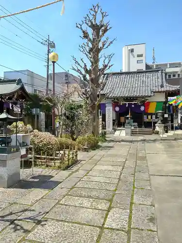 八王子成田山傳法院(東京都)