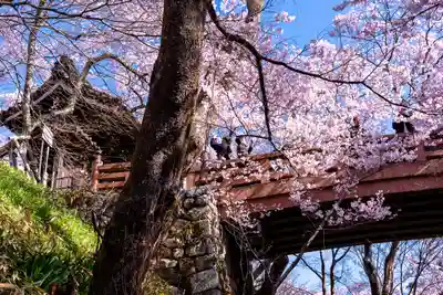 新城藤原神社(長野県)
