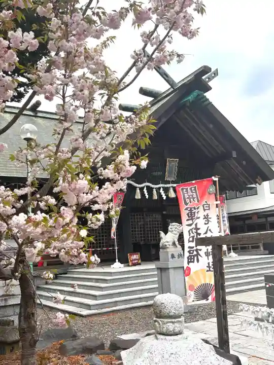 白老八幡神社の{uncategorized: "未分類", other: "その他", undefined: "問題あり", building: "その他建物", grave: "お墓", sacred_gate: "鳥居", guardian: "狛犬", statue: "像", buddha: "仏像", history: "歴史", nature: "自然", garden: "庭園", animal: "動物", pagoda: "塔", temizu: "手水舎", mountain_gate: "山門・神門", sanctuary: "本殿・本堂", subordinate: "末社・摂社", art: "芸術", scenery: "景色", jizo: "地蔵", ema: "絵馬", goshuin: "御朱印", omikuji: "おみくじ", items: "授与品その他", amulet: "お守り", goshuincho: "御朱印帳", eats: "食事", festival: "お祭り", votive_dance: "神楽", shichigosan: "七五三参", wedding: "結婚式", experience: "体験その他", initially: "初詣", around: "周辺", anti_infection: "感染症対策"}