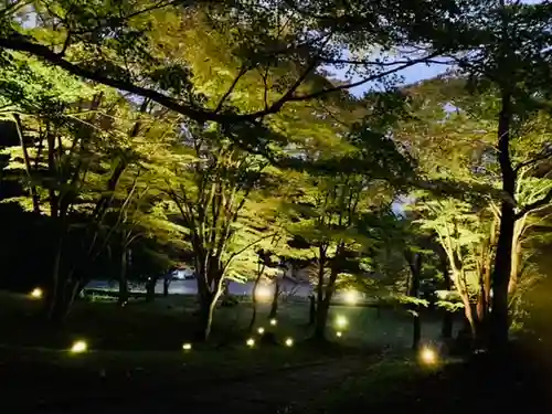 土津神社｜こどもと出世の神さまの景色