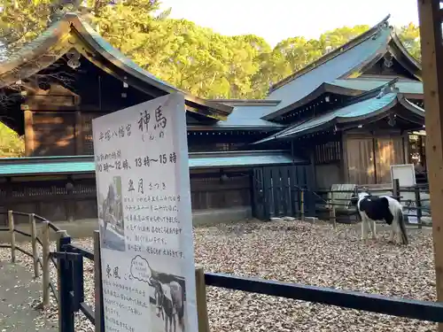 平塚八幡宮(神奈川県)