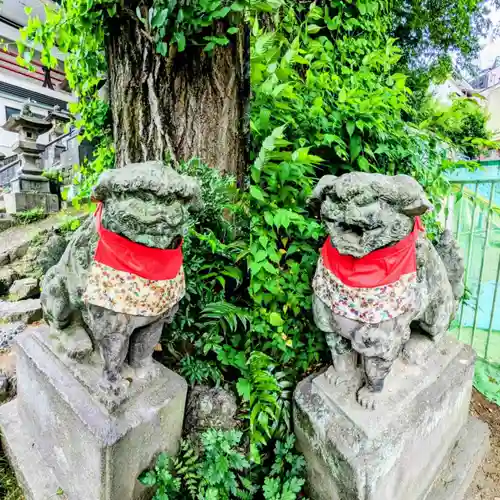 王子稲荷神社の狛犬