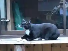 道祖神社の動物