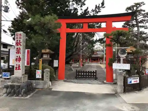 浜松秋葉神社の鳥居