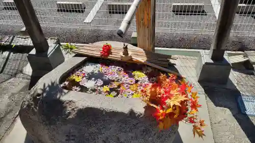 阿邪訶根神社の手水