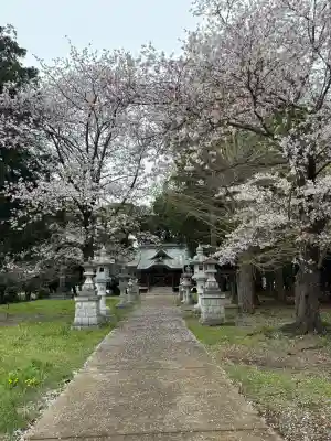 八坂神社の{uncategorized: "未分類", other: "その他", undefined: "問題あり", building: "その他建物", grave: "お墓", sacred_gate: "鳥居", guardian: "狛犬", statue: "像", buddha: "仏像", history: "歴史", nature: "自然", garden: "庭園", animal: "動物", pagoda: "塔", temizu: "手水舎", mountain_gate: "山門・神門", sanctuary: "本殿・本堂", subordinate: "末社・摂社", art: "芸術", scenery: "景色", jizo: "地蔵", ema: "絵馬", goshuin: "御朱印", omikuji: "おみくじ", items: "授与品その他", amulet: "お守り", goshuincho: "御朱印帳", eats: "食事", festival: "お祭り", votive_dance: "神楽", shichigosan: "七五三参", wedding: "結婚式", experience: "体験その他", initially: "初詣", around: "周辺", anti_infection: "感染症対策"}