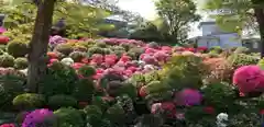 根津神社の庭園