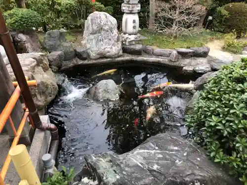尾張猿田彦神社の動物