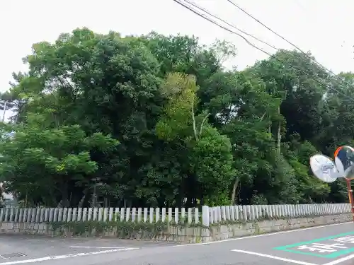 月之宮社の自然