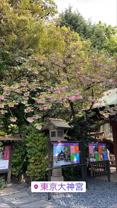 東京大神宮のその他建物