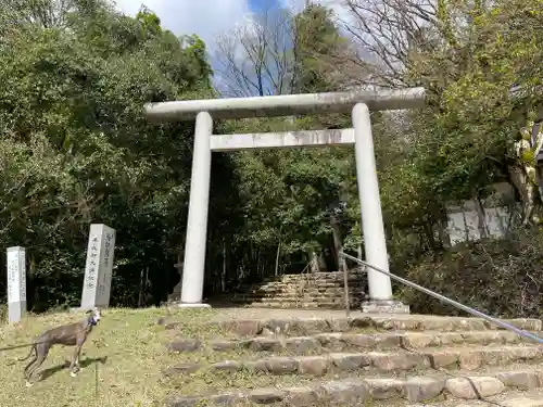 元伊勢内宮 皇大神社の鳥居