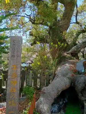 牛嶋天満宮の{uncategorized: "未分類", other: "その他", undefined: "問題あり", building: "その他建物", grave: "お墓", sacred_gate: "鳥居", guardian: "狛犬", statue: "像", buddha: "仏像", history: "歴史", nature: "自然", garden: "庭園", animal: "動物", pagoda: "塔", temizu: "手水舎", mountain_gate: "山門・神門", sanctuary: "本殿・本堂", subordinate: "末社・摂社", art: "芸術", scenery: "景色", jizo: "地蔵", ema: "絵馬", goshuin: "御朱印", omikuji: "おみくじ", items: "授与品その他", amulet: "お守り", goshuincho: "御朱印帳", eats: "食事", festival: "お祭り", votive_dance: "神楽", shichigosan: "七五三参", wedding: "結婚式", experience: "体験その他", initially: "初詣", around: "周辺", anti_infection: "感染症対策"}