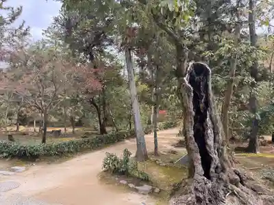 唐招提寺(奈良県)