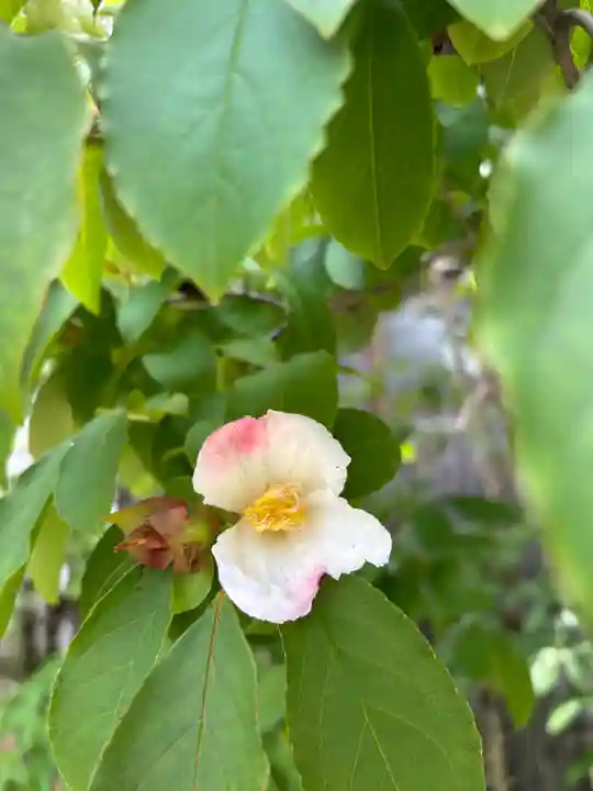 観音寺(兵庫県)
