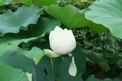 浄名寺(山口県)