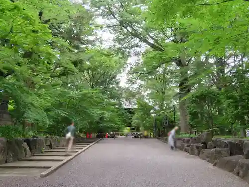 淨眞寺の自然