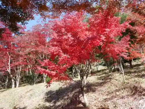 足利織姫神社の景色