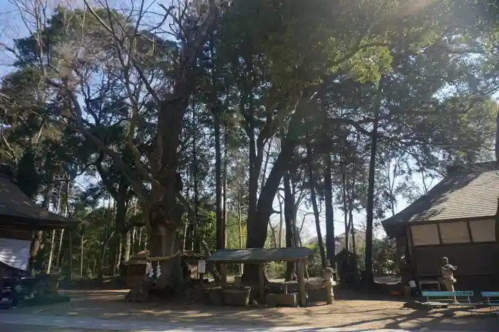 中村八幡宮のその他建物