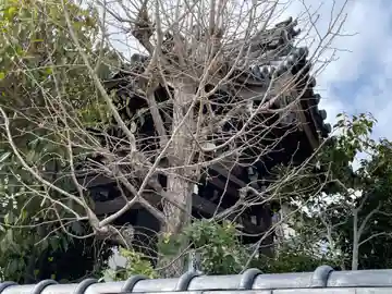 蓮生寺(京都府)